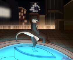 anentheotter anthro anus ass backsack balls ballsack brown_body brown_fur city dripping_water fur genitals green_eyes hi_res looking_back male mammal mustelid night nude otter outside pool presenting presenting_anus signature solo spread_butt spreading standing tail teeth water wet wet_body