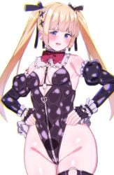 marie rose from dead or alive by nishisan (mikurosu)