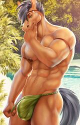 1boy anthro banni_art clothed clothing equid equine green_eyes hi_res horse male male_only mammal muscular muscular_anthro muscular_male nipples outside partially_clothed pony solo tida