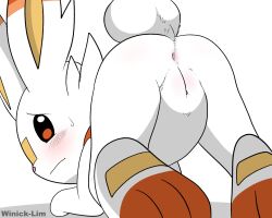 pokémon (species) from nintendo by winick-lim