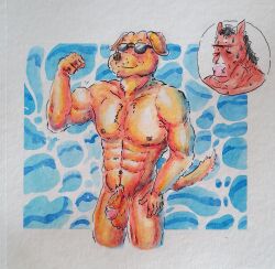 2boys absurd_res anthro balls bird_dog bojack_horseman bojack_horseman_(character) canid canine canis domestic_dog equid equine eyewear flaccid fur genitals hi_res horse humanoid hunting_dog labrador male male/male male_only mammal mr._peanutbutter muscular netflix nipples nude painting_(artwork) pecs penis retriever rinrin28 simple_background simple_eyes solo sunglasses traditional_media_(artwork) watercolor_(artwork) yellow_body