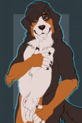 animal_genitalia anthro bernese_mountain_dog canid canine canis domestic_dog fully_sheathed fur furry furry_only genitals hi_res male male_only mammal molosser mountain_dog patrikthedog ruska sheath solo swiss_mountain_dog tail