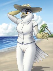 absurd_res annie_(fish_birb) anthro avian beach bird bottomless clitoris clothed clothing dress_shirt exhibitionism female fish_birb genitals hi_res kite_(bird) no_pants no_underwear pinup pose pussy seaside shirt short_sleeved_shirt short_sleeves solo sun_hat topwear white-tailed_kite