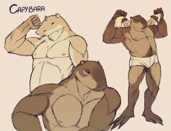 anthro barazoku capybara caviid clothing flexing_muscles gay gizkgkr hi_res male_only mammal muscular muscular_anthro ok_i_pull_up rodent underwear