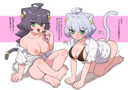 2girls absurdres ahoge all_fours animal_ear_fluff animal_ears bangs bare_shoulders barefoot bikini bikini_top_only black_bikini black_hair blush bottomless breasts cat_ears cat_girl cat_tail chocolate collarbone commentary crossed_legs ear_piercing eyebrows_visible_through_hair feet female full_body green_eyes grey_hair hair_between_eyes highres large_breasts long_hair looking_at_viewer mole mole_under_eye mole_under_mouth multiple_girls naked_shirt ngetyan nose_blush oerba_yun_fang off_shoulder open_clothes open_mouth open_shirt original partially_unbuttoned piercing renge_(ngetyan) ringe_(ngetyan) shirt short_hair short_sleeves simple_background sitting soles swimsuit tail tail_ornament tail_ring toes tongue tongue_out translated valentine valentine's_day white_shirt