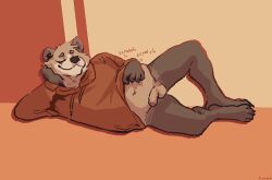 anthro biped bottomless casual_nudity clothed clothing flaccid furvidd genitals hi_res hoodie itching lying male male_only mammal penis relaxing solo topwear ursid