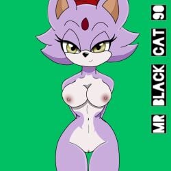 blaze_the_cat female female_only mrblackcat901 solo solo_female sonic_(series) sonic_the_hedgehog_(archie) tagme