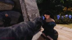 3d animal_genitalia animated bethesda_softworks canine dog female knot missionary missionary_position mp4 pussy shinewind skyrim sound the_elder_scrolls the_witcher_(series) vaginal_penetration video yennefer zoophilia