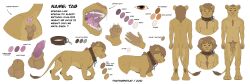 absurd_res animal_genitalia anthro anus balls claws collar colored felid feline felis feral genitals hands hi_res lion male mammal model_sheet open_mouth pantherine paws penis sheath solo tab_(thathornycat) teeth thathornycat