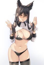 animal_ears atago_(azur_lane) atago_(stunning_speedster)_(azur_lane) azur_lane bangs bikini black_bikini black_hair black_legwear breasts brown_eyes cleavage cowboy_shot dog_ears extra_ears female female highres holding holding_hair keimemen large_breasts leaning_forward long_hair looking_at_viewer mole mole_under_eye navel official_alternate_costume race_queen ribbon shrug_(clothing) simple_background sleeve_cuffs solo standing swept_bangs swimsuit thighhighs two-tone_bikini white_background white_ribbon wrist_cuffs