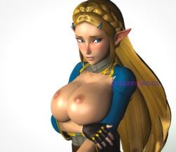 1girls 3d big_breasts blonde_hair breath_of_the_wild fair-skinned_female fair_skin female female_focus female_only garryswood light-skinned_female light_skin nintendo posing princess_zelda sfm solo solo_female solo_focus the_legend_of_zelda zelda_(breath_of_the_wild)