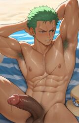 roronoa zoro from one piece
