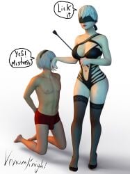 1boy 1girls 3d big_breasts blindfold breasts bulge female femdom genderswap genderswap_(ftm) genderswap_(mtf) hairband light-skinned_female light-skinned_male light_skin male male_2b nier nier:_automata rule_63 thighhighs venomkniight white_background white_hair yorha_2b yorha_9s