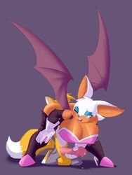 rouge the bat from sega by bigdad