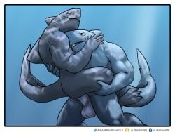 2boys alphasabre anal anthro balls blush carrying_partner diphallia diphallism duo fish genitals grin hi_res male male/male male_only marine multi_genitalia multi_penis muscular muscular_male penis sex shark smile underwater underwater_sex water