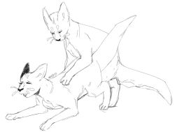 ambiguous_gender cuntboy doggy_style duo ears_back feral from_behind_position gastropod hybrid intersex looking_pleasured male mollusk monochrome paw_on_back pivoted_ears rain_world sex simple_background sketch slugcat thick_tail wirepup65