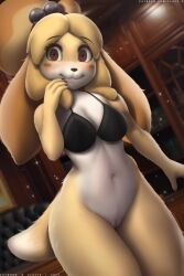 2022 2:3 accessory animal_crossing anthro bell blush blush_lines body_blush bottomless bottomless_female bra breasts brown_eyes canid canine canis cleavage clothed clothing colored_nails conditional_dnp dipstick_tail doubutsu_no_mori female fluffx fur furry furry_only genitals glistening glistening_genitalia glistening_pussy hair hand_in_hair headband headgear headwear hi_res isabelle_(animal_crossing) jingle_bell looking_at_viewer mammal markings mostly_nude nails nintendo partially_clothed pussy pussy_blush raised_hand shizue shizue_(doubutsu_no_mori) skimpy smile solo sparkles tail tail_markings thick_thighs topwear touching_hair underwear video_games wide_eyed yellow_body yellow_fur