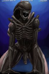 2:3 2boys alien alien_(franchise) all_fours black_body digital_media_(artwork) doggy_style duo exoskeleton femboy from_behind_position genitals hi_res humanoid male male_only male_xenomorph nihilophant nude open_mouth penis sex teeth teeth_showing xenomorph