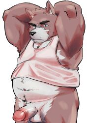 2022 anthro balls black_nose canid canine canis clothing domestic_dog erection genitals hi_res humanoid_genitalia humanoid_penis kemono male mammal moobs nipples overweight overweight_male penis shirt simple_background solo topwear ujishiyo white_background