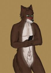 animal_genitalia anthro balls blush brown_body brown_fur canid canine canis copinlighter fur genitals hi_res looking_down male mammal penis penis_tip phone sheath solo standing white_body white_fur wolf