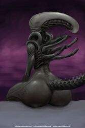 1girls 2018 2:3 alien alien_(franchise) alternate_version_at_source anthro ass black_body black_tail digital_media_(artwork) exoskeleton eyeless female_xenomorph hi_res humanoid lips looking_at_viewer nihilophant nude presenting simple_background sitting smile solo wide_hips xenomorph xenophilia