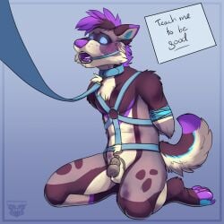 2018 anthro arms_tied balls blue_background bodily_fluids bondage bondage bound canid canine canis chastity_cage chastity_device collar colored cum domestic_dog fur gag gagged genital_fluids genitals harness hi_res husky hypnosis hypnotic_eyes kizma kneeling leash male mammal mind_control multicolored_body multicolored_fur nordic_sled_dog open_mouth paws raised_tail redfeatherstorm rope shaded simple_background solo spitz teeth text tongue watermark