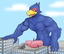 1boy anthro avian bird blue_body building city erection falco_lombardi genitals hi_res jrjresq macro male male_only muscular muscular_male nintendo penile penis penis_riding siman-clifton star_fox video_games