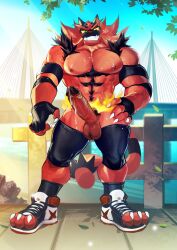 anthro bara barazoku crrispy felid feline genitals hi_res incineroar male male_only mammal nintendo penis pokémon_(species) pokemon solo video_games