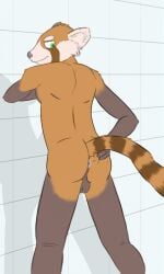 ailurid anthro anus ass balls biped brown_balls brown_body brown_fur brown_stripes bucklebunny cheek_tuft eyebrows facial_tuft fur genitals gloves_(marking) green_eyes grey_nose hand_on_butt hi_res inner_ear_fluff leaning leaning_forward looking_back male mammal markings orange_body orange_fur orange_stripes perineum presenting presenting_anus presenting_hindquarters rear_view red_panda shadow smile solo spread_butt spreading standing striped_body striped_fur striped_markings striped_tail stripes tail_markings tile tile_wall tuft wall_(structure) white_body white_eyebrows white_fur white_inner_ear_fluff