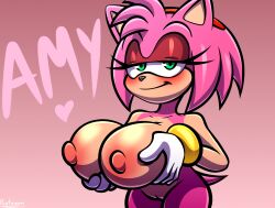 amy_rose anthro bedroom_eyes big_breasts breasts eulipotyphlan female genitals hedgehog holding_breast mammal narrowed_eyes nude protagon pussy seductive sega solo sonic_(series) sonic_the_hedgehog_(series)