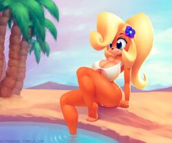 anthro beach big_breasts breasts cleavage clothing coco_bandicoot crash_(series) female nitro sitting solo solo_female