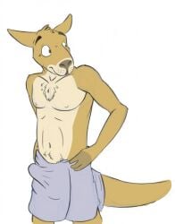 anthro belly belly_tuft biped black_eyebrows brown_body brown_ears brown_eyes brown_fur brown_head_tuft brown_tail bucklebunny chest_tuft erection_under_towel eyebrows fur grey_towel hand_on_hip hi_res kangaroo looking_aside macropod male mammal marsupial navel nipples simple_background solo standing tan_belly tan_body tan_fur towel towel_around_waist towel_only tuft white_background