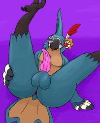 anthro anus avian balls breath_of_the_wild genitals hi_res kass_(tloz) kass_(zelda) lying male male_only nintendo on_back penis presenting purple_background rito simple_background solo tapering_penis the_legend_of_zelda video_games vulnec