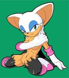 anthro bat breasts catapult_beetle clothes color female female_only fur furry gloves nipples rouge_the_bat sitting solo sonic_(series) tagme torn_clothes vulva wings