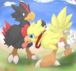 boko chocobo final_fantasy gay tagme volg yaoi