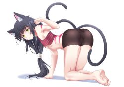 ara_(monster_girl_island) black_hair buwad cat_ears cat_girl cat_tail green_eyes looking_back monster_girl monster_girl_island on_hands_and_knees young younger_female