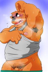 2022 anthro armpit_hair balls black_nose blush bodily_fluids body_hair clothing flaccid genitals hi_res kemono male mammal musk overweight overweight_male penis pubes shibatanukiti shirt small_penis solo solo_male sweat topwear ursid