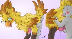 anon avian bird birdofanatic chocobo final_fantasy gay human interspecies rimming