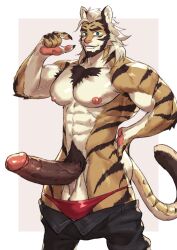 anthro balls big_balls big_penis dreampipe furry gay kiashigetsnasty male male_only pants_down penis solo solo_male tiger