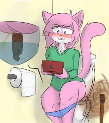 absurd_res aeris_(vg_cats) anthro bathroom bite biting_lip blue_eyes blush bodily_fluids breasts clothed clothing digital_media_(artwork) domestic_cat fart fart_cloud fart_fetish feces felid feline felis female fur game_console gaming genital_fluids hair handheld_console hi_res holding_console holding_object leaning mammal notmypornaccount panties panties_down partially_clothed peeing pink_body pink_fur playing_videogame scat scat simple_background sitting solo sweater toilet toilet_paper toilet_plunger toilet_use topwear underwear underwear_down urine vg_cats video_games webcomic webcomic_character