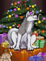 blue_eyes candy_cane canine christmas christmas_tree cloud_the_husky cum feral fortune_cookie furaffinity furry_only grey_fur licking looking_at_viewer male paws presents sheath teeth white_balls white_fur