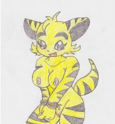 anthro black_fur black_stripes bound bound_wrists breasts brown_eyes color electabuzz female female_only front_view fur furry furry_breasts furry_ears furry_tail looking_at_viewer nintendo nipples nude open_eyes open_mouth pink_nipples pokemon pussy raised_tail rope solo stripes tail vulva white_background yellow_fur zaraxes