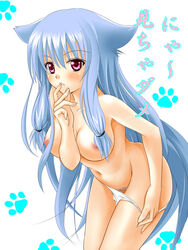 animal_ears blue_hair breasts cat_ears feline female female_only human kiriya_nozomi long_hair mayoi_neko_overrun! meitoku nipples orange_(meitoku) panties purple_eyes solo underwear very_long_hair