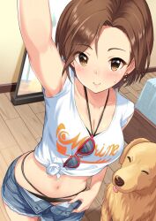 arm_up armpits bangs bikini bikini_under_clothes breasts brown_eyes brown_hair canine cleavage cowboy_shot crop_top cutoffs denim denim_shorts dog drop_earrings earrings eyebrows_visible_through_hair eyewear_removed female foreshortening halterneck highres idolmaster idolmaster_cinderella_girls indoors jewelry looking_at_viewer medium_breasts mizuki_seira multi-strapped_bikini navel open_fly open_pants pants parted_bangs selfie shirt short_hair short_shorts shorts smile solo stomach sunglasses sunglasses_removed sweatdrop swimsuit t-shirt tamakaga tied_shirt