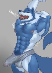 1boy abs absurd_res anthro blue_body blue_fur boner bulge canid canine canis capcom clothed clothing darkstalkers erection erection_under_clothing fleshformomo fur gallon hi_res jon_talbain male male_only mammal muscular muscular_anthro muscular_male nipples open_mouth pecs pubes simple_background solo tongue underwear vampire_savior video_games were werecanid werecanine werewolf wolf yawn