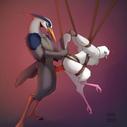 anthro avian bird bird_feet bondage columbid daun feathers female furry genitals heron hi_res male male/female pelecaniform penis pigeon smile swing wilhelm zoke