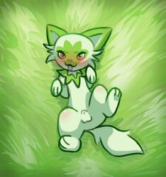 2022 balls blush eledensfw feral fur furry furry_only game_freak genitals green_body green_fur green_theme hi_res looking_at_viewer lying male male_only naked nintendo nude on_back on_grass pink_eyes pokémon_(species) pokemon pokemon_sv smile solo spread_legs spreading sprigatito tail tongue tongue_out video_games