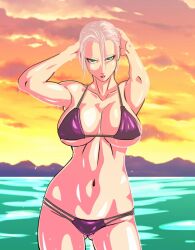 1girls beach bikini blue_eyes female female_only fully_clothed isabella_valentine navel purple_bikini revealing_clothes saburo_des seductive_look short_hair silver_hair solo soul_calibur sunset swimsuit wet