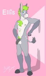 absurd_res anthro asinus balls belly_tuft biped black_glans black_nipples black_penis blue_eyes bucklebunny cheek_tuft chest_tuft donkey elbow_tufts equid equine eyebrows facial_tuft front_view fur genitals glans glistening glistening_eyes green_hair grey_body grey_ears grey_fur grey_tail hair half-erect hi_res humanoid_genitalia humanoid_penis inner_ear_fluff male mammal navel neck_tuft nipples open_mouth penis pink_tongue raised_eyebrow short_hair signature solo standing tail_tuft teeth tongue tuft white_balls white_body white_fur white_inner_ear_fluff