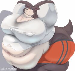 ass bbw breasts fat feedee furry juno_(beastars) morbidly_obese morbidly_obese_anthro morbidly_obese_female obese obese_anthro obese_female overweight overweight_anthro overweight_female shirt slob ssbbw sweat sweat_stain tight wolf